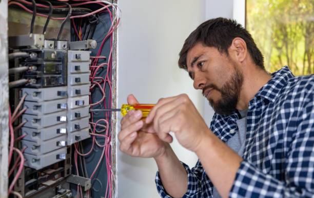 Best Electrician Near Me  in Willow Oak, FL
